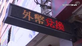 Y匯兌小蜜蜂1800