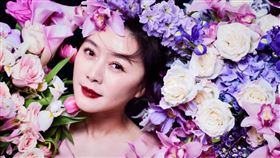 ▲田海蓉。（圖／翻攝自田海蓉微博） 