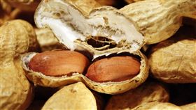花生,peanuts。(圖/Pixabay)