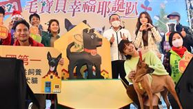 好糗！誤把「米可白」當狗叫　侯友宜自己也笑翻：五告拍謝（圖／翻攝自新北市府網站）