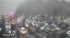 追雪,合歡山武嶺,大塞車,遊客塞車陣 圖/翻攝自中橫路況交通資訊站臉書