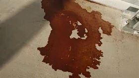 鄰居鐵門溢「血色液體」？正妹嚇壞急報警　真相全場傻眼。Ashley Money TikTok