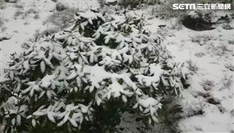 明迎「大雪」小心6禁忌！快做2事可旺財