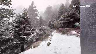雪山也下雪！合歡山創入冬最大雪量