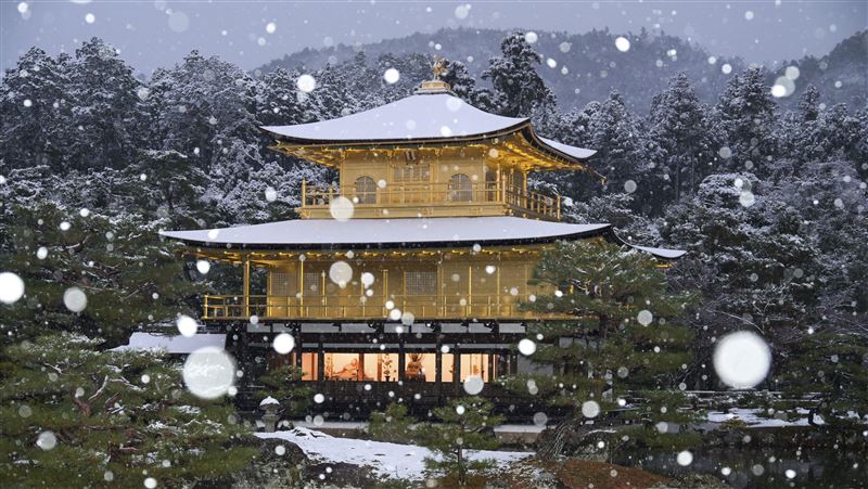 日本狂降雪！京都「雪金閣」美景再現
