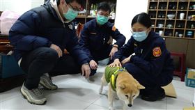 柴犬,走失,熱水澡,高明派出所