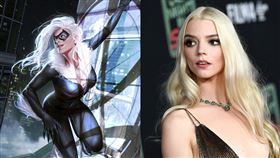 「黑貓」安雅·泰勒-喬伊（Anya Taylor-Joy）。（圖／美聯社／達志影像、翻攝自marvel.fandom）
