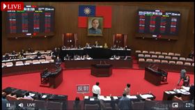 立法院院會三讀通《性別工作平等法》修正草案。（圖／翻攝立法院直播系統)