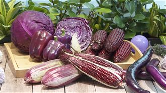 新陳代謝問題年輕化　花青素助改善