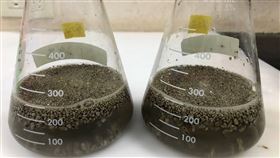 火山浮石阻礙漁船  農改場探尋再利用價值日本小笠原群島海底火山浮石淤塞漁港阻礙漁船進出，漁業署28日召開會議討論浮石去化解決方案，將委託農改場試驗研究，看火山浮石是否可以成為土壤改良劑，助益植物或作物生長。（漁業署提供）中央社記者吳欣紜傳真  110年12月28日