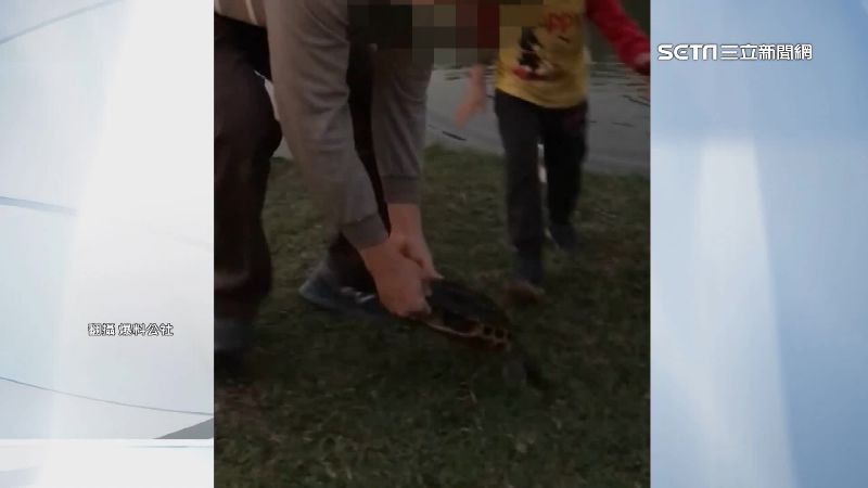 台南父拖行野生烏龜　還出腳踩踏龜殼