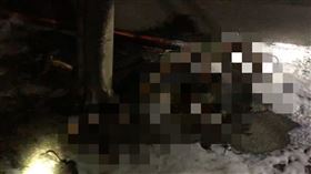 台南,南科園區,焦屍,腹部刀傷,機車火警