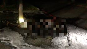 台南,南科園區,焦屍,腹部刀傷,機車火警