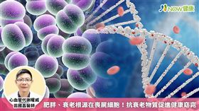 
名家專用／NOW健康／想要創造激瘦體質，惟有透過抗衰老物質來延緩細胞喪屍化，讓細胞保持年輕狀態來對抗衰老保持年輕體態。(勿用)