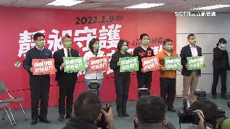 蔡英文親自力挺雙林！籲綠營總動員