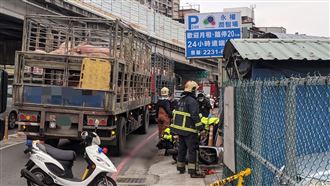 與載豬車擦撞！　騎士跌進輪底遭輾斃
