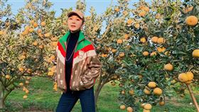 陳美鳳/翻攝自陳美鳳臉書