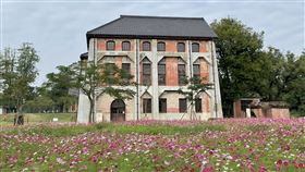 台南山上花園水道博物館波斯菊開花台南山上花園水道博物館花卉區的波斯菊花海開花，搭配百年紅磚建築，營造出獨特氛圍。（台南市文化局提供）中央社記者楊思瑞台南傳真  110年12月30日