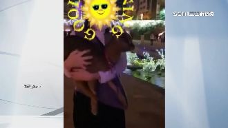 和路邊小羊合影收50元　民眾怒被騙