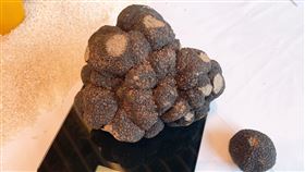 三二行館，史上最大顆黑松露，一公斤黑松露，圖／記者劉沛妘攝影