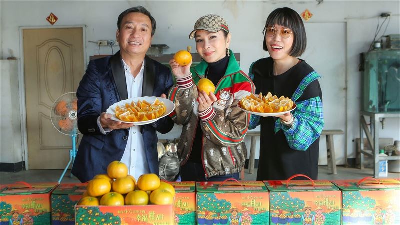 陳美鳳露餡了　新年喊「就是要桃花」
