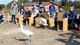 台南野放5隻黑琵 台南市長黃偉哲（前右5）等人31日在台南市四草野生動物保護區野放5隻黑琵，讓黑琵重回大自然的懷抱。（台南市政府提供）中央社記者張榮祥台南傳真  110年12月31日