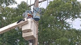 避雷器爆裂  苗栗造橋633戶跨年夜無預警停電苗栗縣造橋鄉一根電桿跨年夜發生避雷器爆裂，633戶住瞬間停電，經工程人員搶修已恢復供電。（民眾提供）中央社記者魯鋼駿傳真 111年1月1日