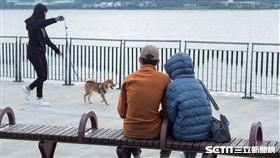 天氣/冷氣團/寒流(記者陳弋攝影)