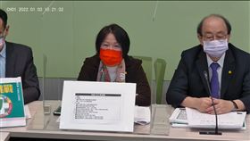 民進黨立院黨團幹事長劉世芳。（圖／翻攝民進黨團臉書)