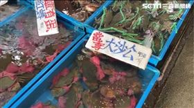 富基漁港「點1200沙公」來紅蟳 兄弟餐廳被投訴