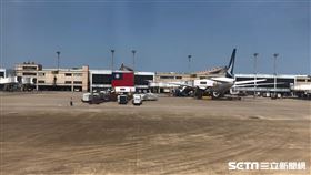 桃機(讀者提供)