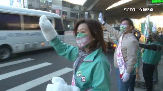 「林靜儀們」出動！綠委奔沙鹿幫催票