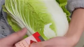 圖／翻攝自搜狐新聞