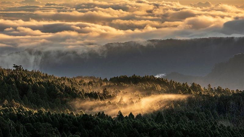 美得像仙境！春節遊太平山車輛限千台