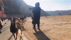 遊客亂餵野生動物　工作人員秒舉喇叭大罵：出來玩要帶腦　圖／翻攝自北京時間微博