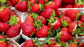 草莓,農藥,麵粉,食用鹼。（圖／翻攝自Pixabay）