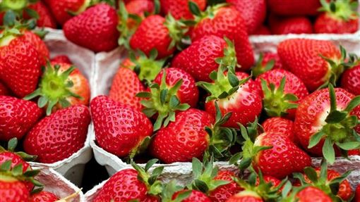 她洗草莓加1物農會急阻止！正確做法曝光