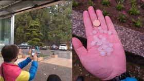  冰雹、福壽山農場。（圖／福壽山農場提供）