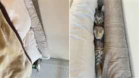 飼主回家找不到愛貓，結果發現貓星人擠在床邊縫隙睡覺。（圖／翻攝自いきなり若旦那 旅館×SNS推特）