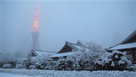 雪中東京鐵塔  散發朦朧美日本氣象廳6日對東京23區、千葉縣、茨城縣南部發布大雪警報。東京市中心時隔4年被氣象廳發布大雪警報。圖為東京鐵塔旁增上寺屋頂積雪。中央社記者楊明珠東京攝  111年1月6日