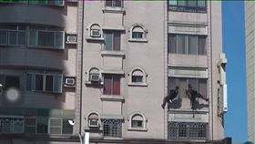 詐騙,文青,肉麻,土味情話,天將神兵