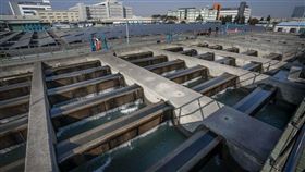 喝好水,新竹市,林智堅,（圖／新竹市政府提供）