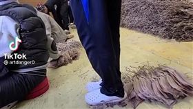 南韓,魷魚,工廠,黑心
翻攝抖音