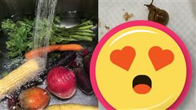 爆廢公社二館,pixabay