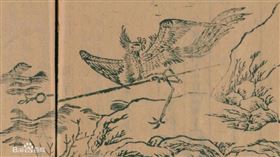 古代的鳳凰（圖／翻攝自百度百科）