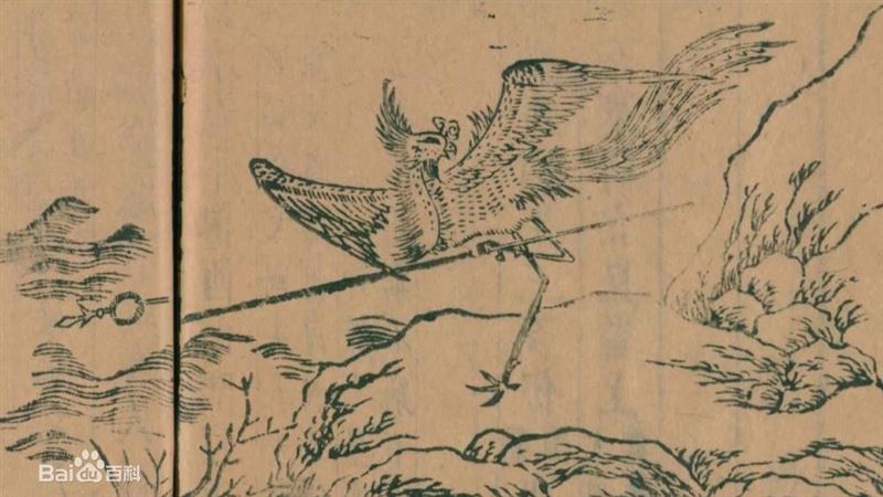 「鳳凰展翅」啥意思？ 過程不忍直視