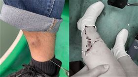 碧潭,天鵝船,魚鉤,台北（圖／翻攝自PTT）