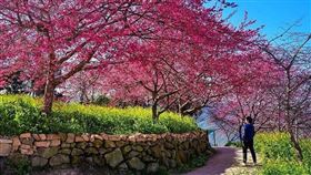 圖／台灣旅行趣