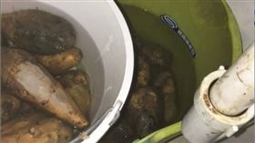 超商噁心地瓜。（圖／翻攝自Dcard）