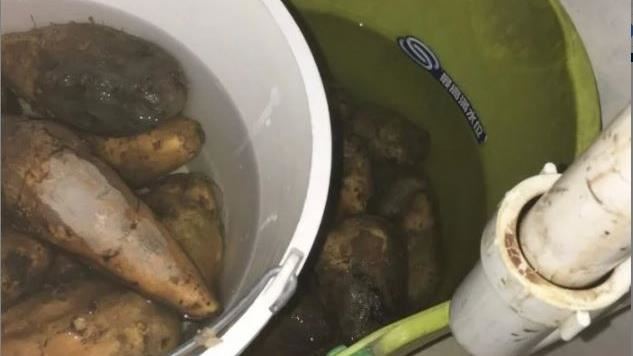 店長幫洗地瓜！工讀妹嘔：那拖過大便